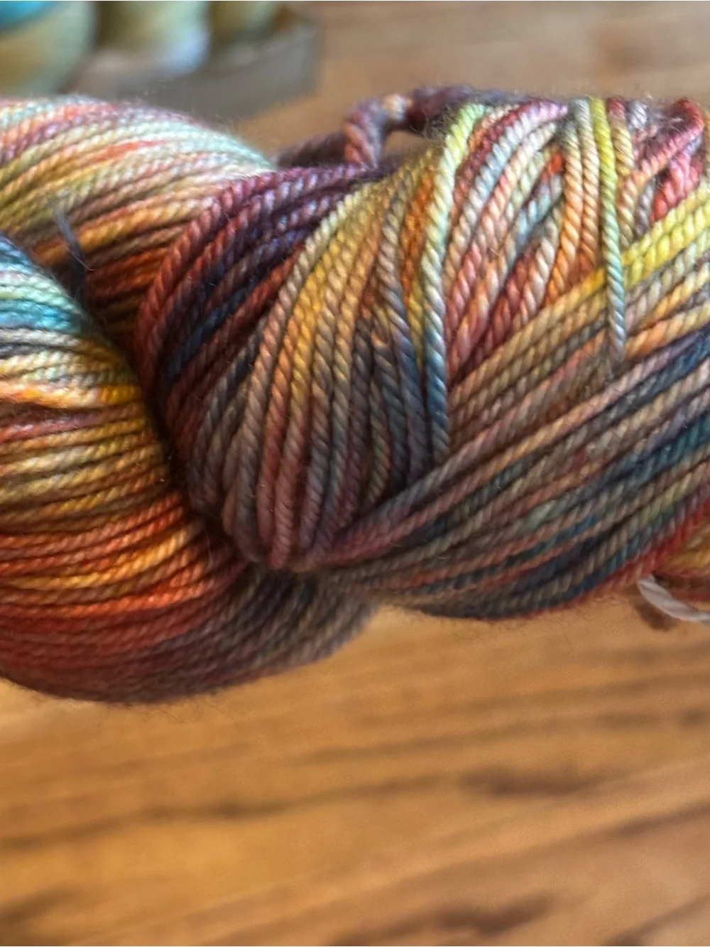 Dream in Color Smooshy Cashmere Yarn Multicolor Fall Sock Fingering Knitting NEW